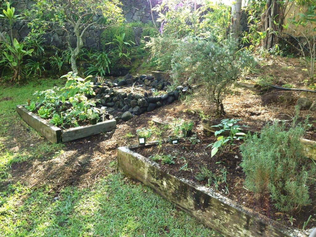 Amy Ferguson Garden