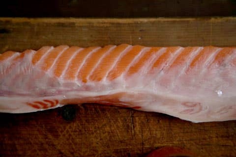 httpswww.saveur.comsitessaveur.comfilesimport2008images2008-05634-112_salmon27s_other_flavorful_parts_1_480.jpg