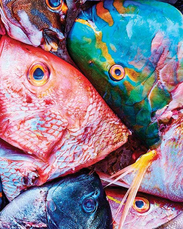 Dinner or Main Course (Page 27 Results) | Saveur