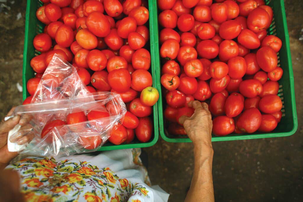 httpswww.saveur.comsitessaveur.comfilesimport2012images2012-077-SAV149-Yucatan2-1500&#215;1000.jpg