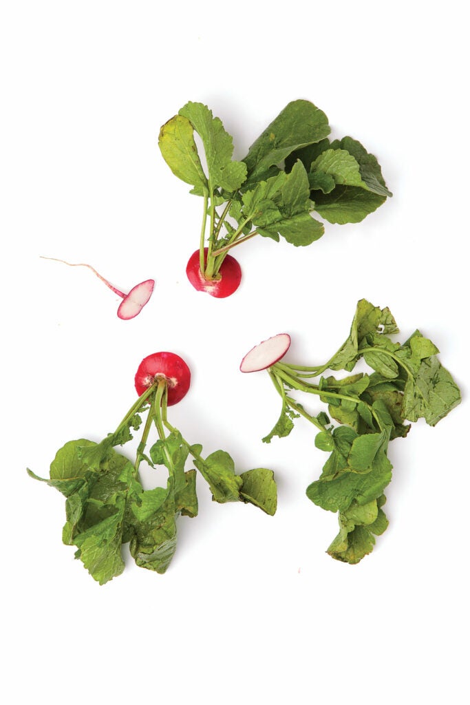 Radish Greens