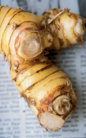 httpswww.saveur.comsitessaveur.comfilesimport2008images2008-01628-94_spice_island_pantry_4.jpg