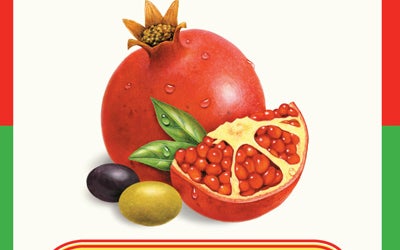 Under the Shade of Olive Trees: Recipes from Jerusalem to Marrakech and Beyond