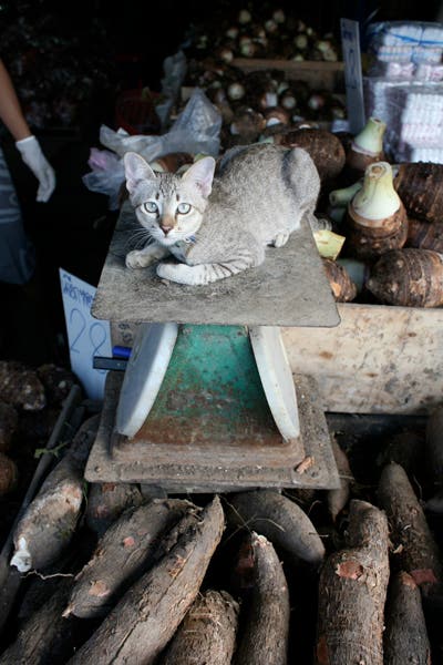 httpswww.saveur.comsitessaveur.comfilesimport2010images2010-067-Bombay_5537.jpg.jpg