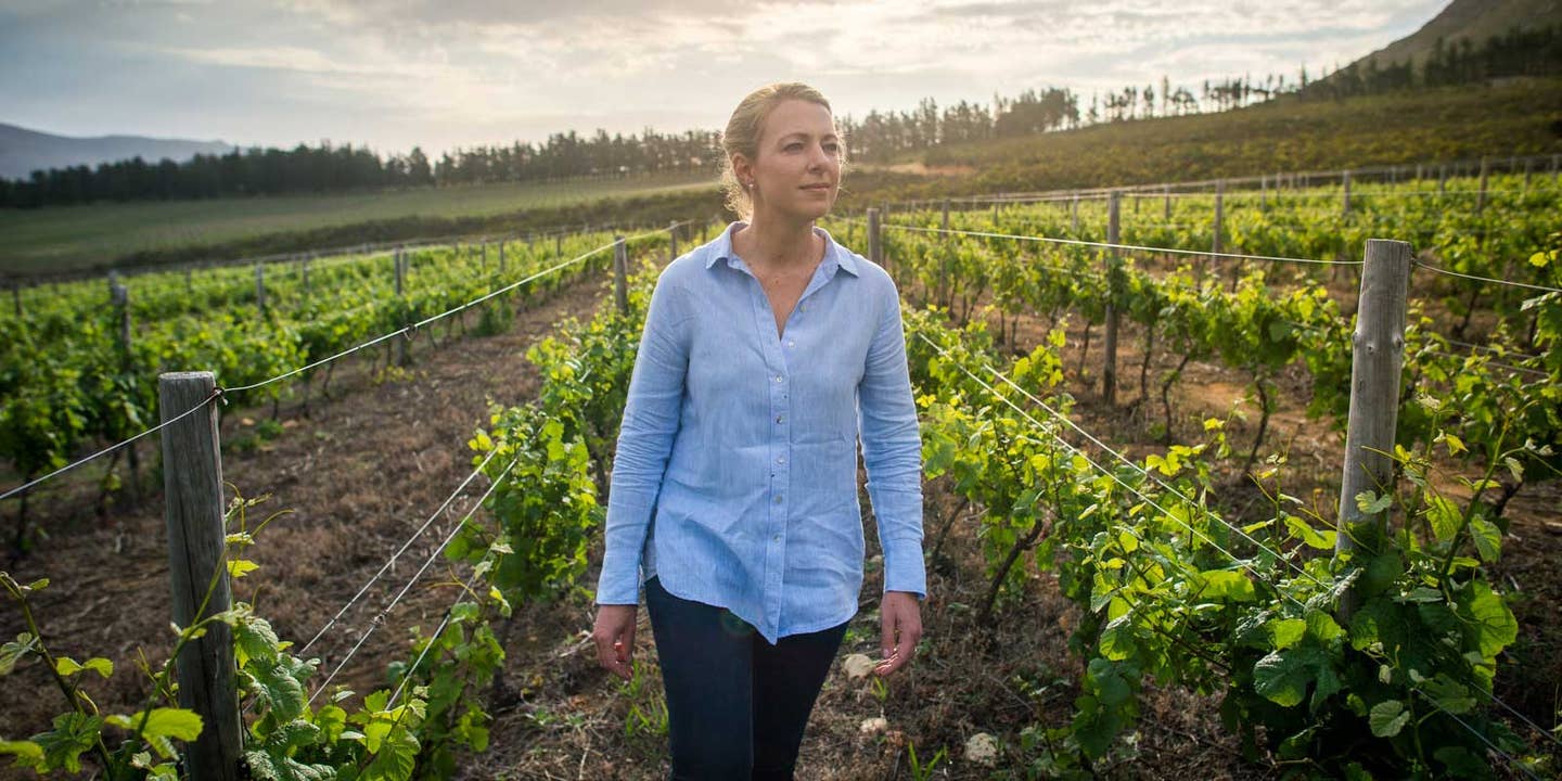 Cape Town’s Wine Farms Are Rising Above the Drought