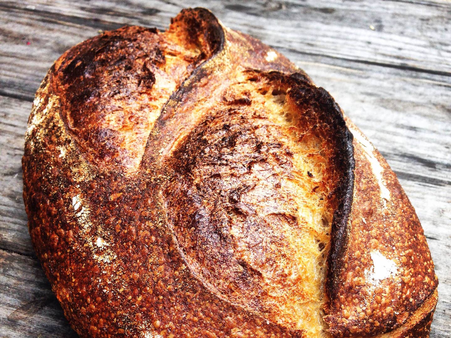 Meet the Millers: Three Bakers Revolutionizing Artisan Bread