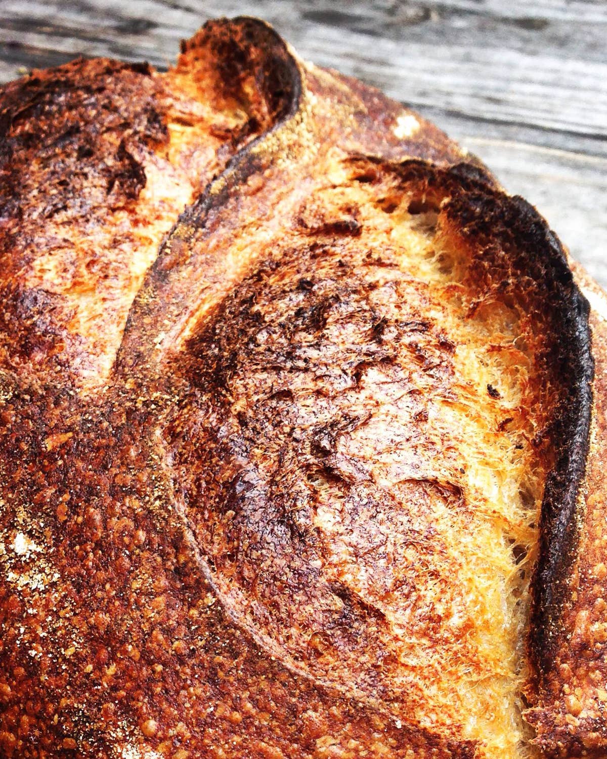 Meet the Millers: Three Bakers Revolutionizing Artisan Bread
