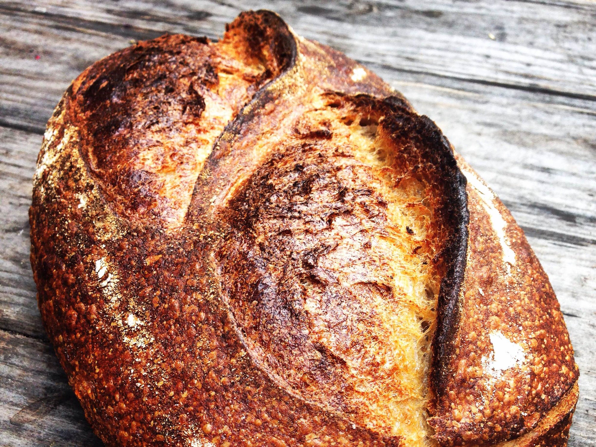 Meet the Millers Three Bakers Revolutionizing Artisan Bread