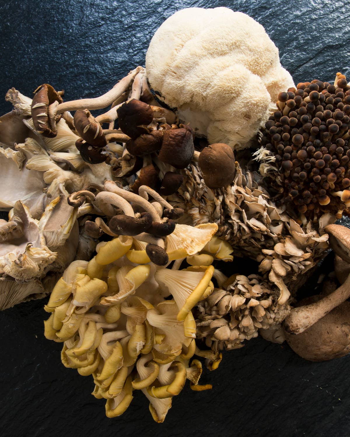 What to Do with a Delivery of Wild Mushrooms