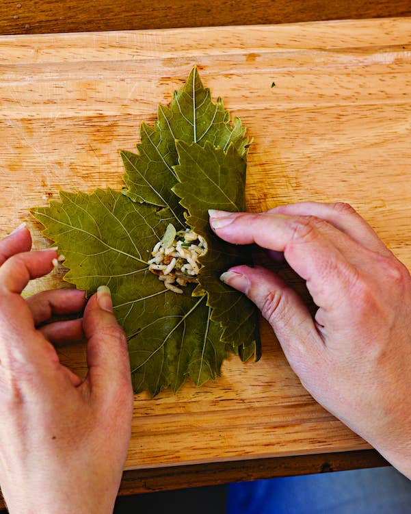 How to Stuff Grape Leaves