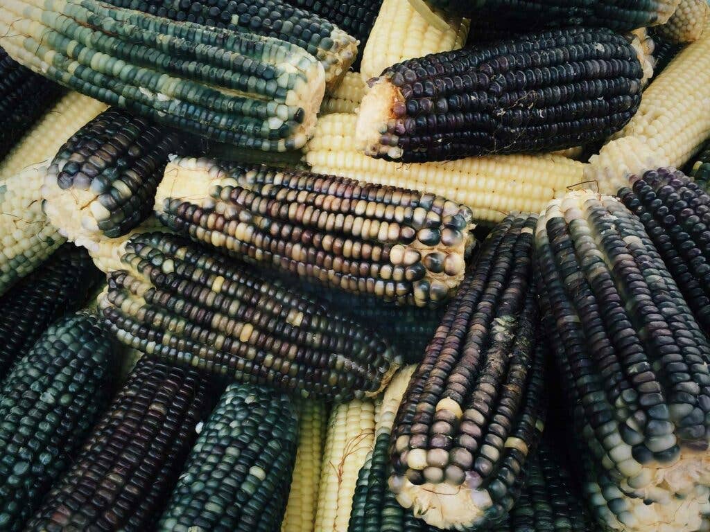 Mercado Merced Corn