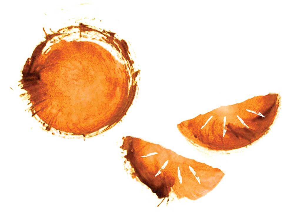 Creole Shrubb (Clementine Liqueur)