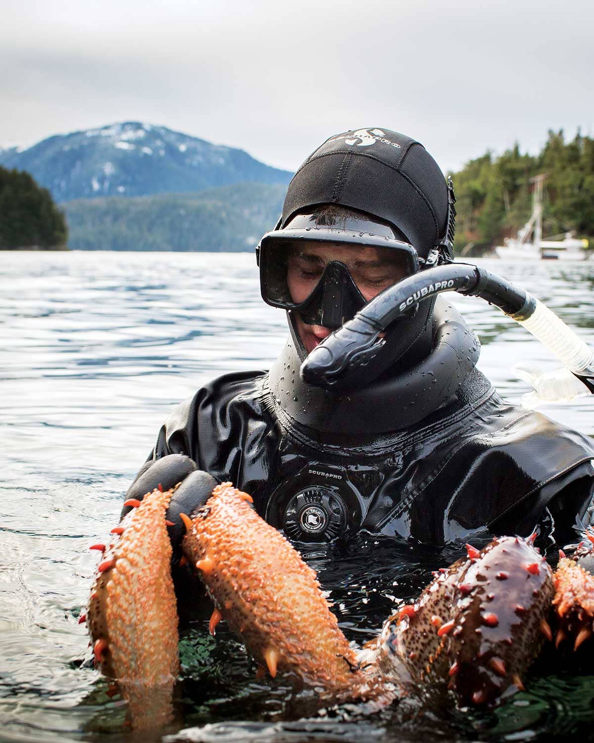In Search of Alaska’s Deadliest Catch: The Sea Cucumber