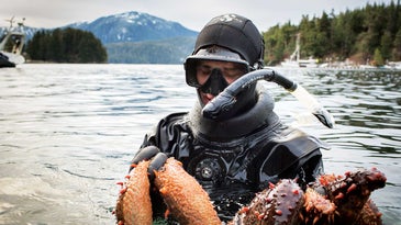 In Search of Alaska's Deadliest Catch: The Sea Cucumber