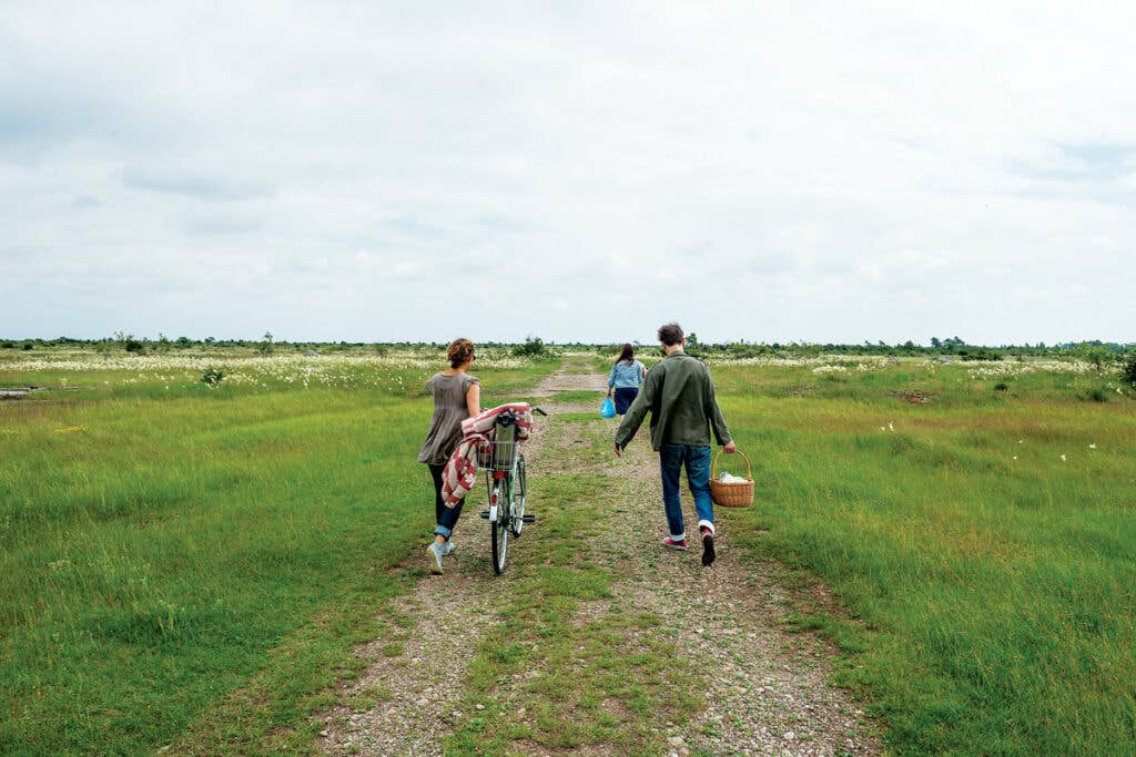 friends search for the perfect place for a Midsummer picnic