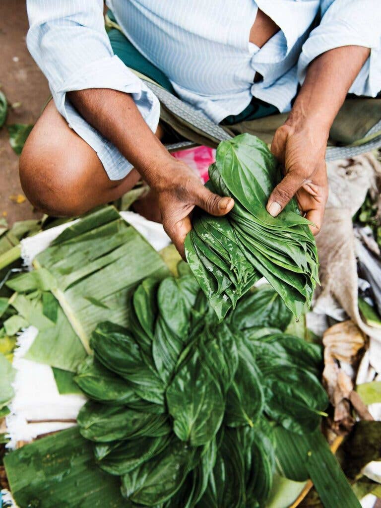 betel leaves