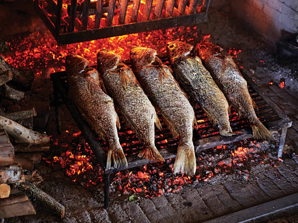 Whole Grilled Sea Bass