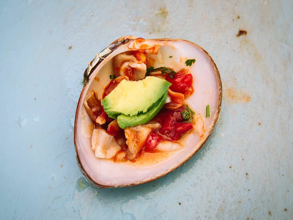 clam ceviche