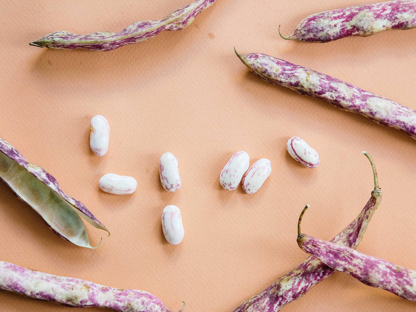 Fresh Shelling Beans are Summer’s Most Underrated Produce