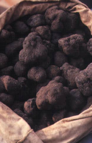 httpswww.saveur.comsitessaveur.comfilesimport2007images2007-1203_buying-truffles_33.jpg