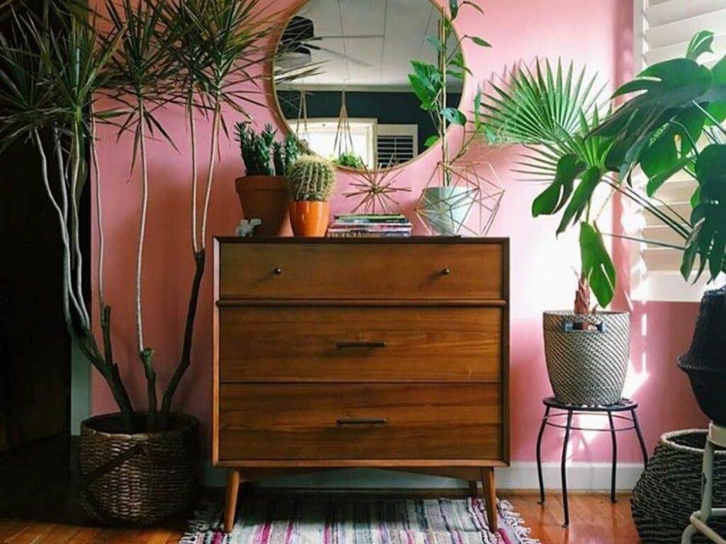 httpswww.saveur.comsitessaveur.comfilesimages201702designsponge.jpg
