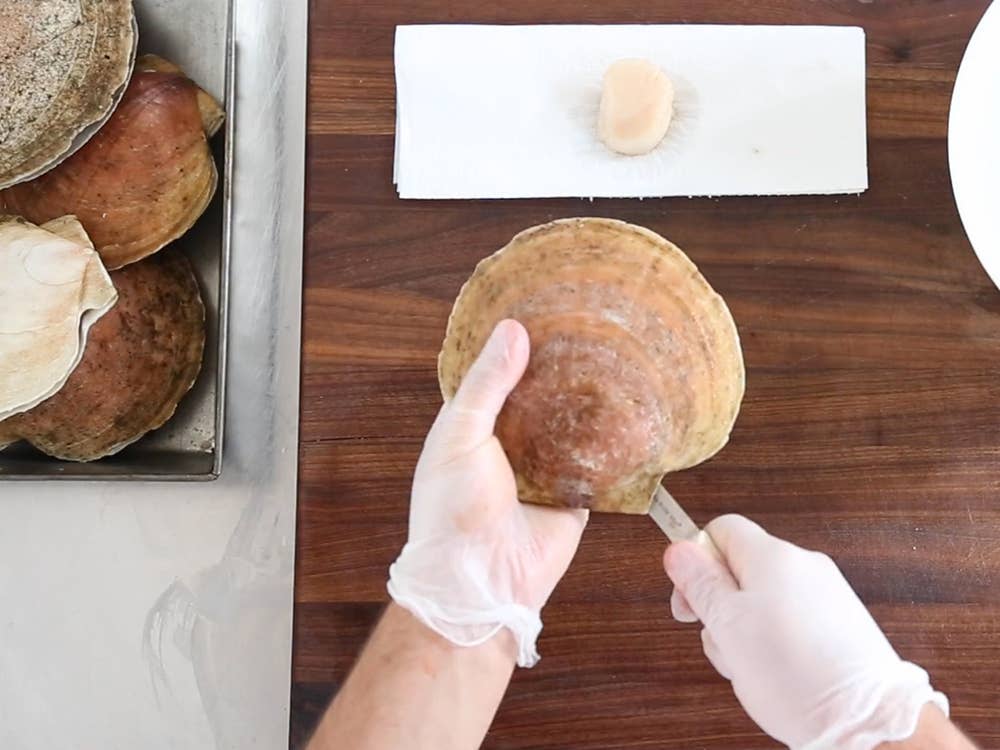 How to Shuck a Scallop (And Clean It, Too)