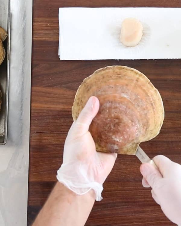 How to Shuck a Scallop (And Clean It, Too)