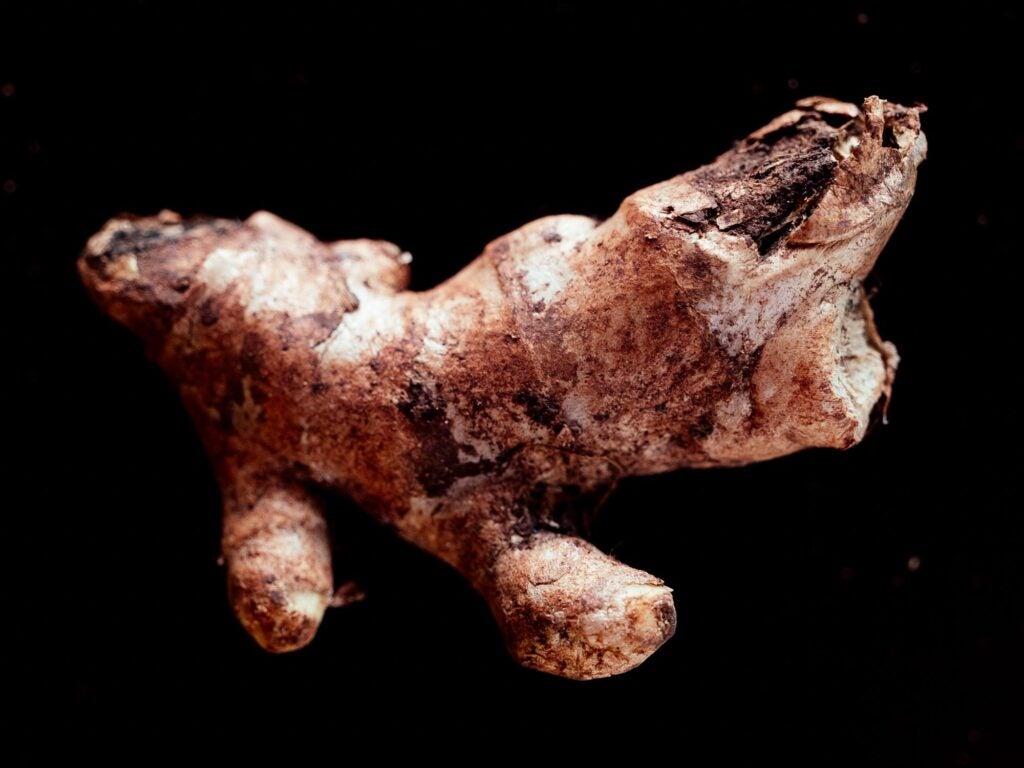 kerala ginger