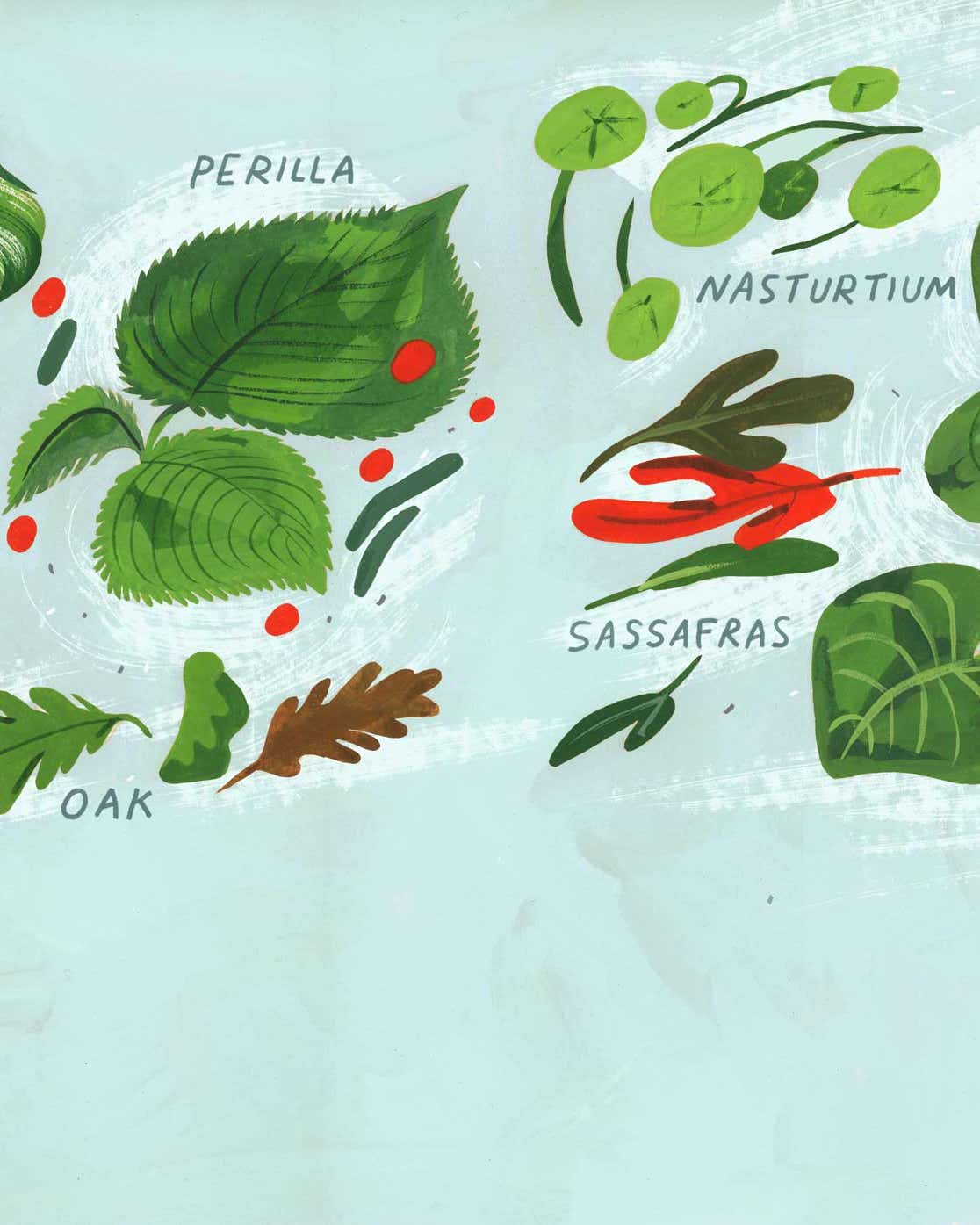 10 Flavor-Packed Leaves From Around the World to Bring Into Your Kitchen Illustration of leaves to cook with