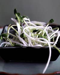 Daikon and Sunflower Sprout Salad