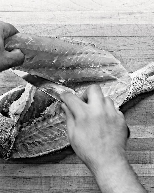 How to Fillet A Fish