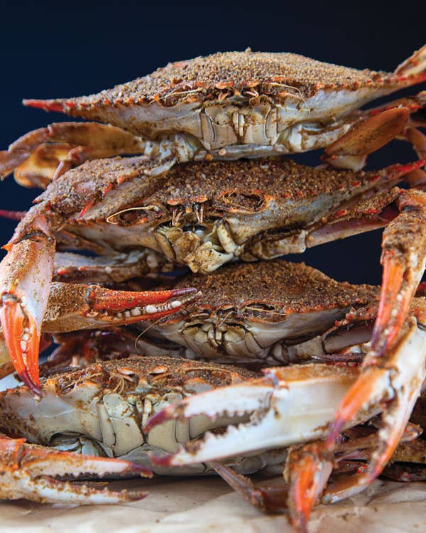 Our 17 Best Summer Blue Crab Recipes Steamed Blue Crabs