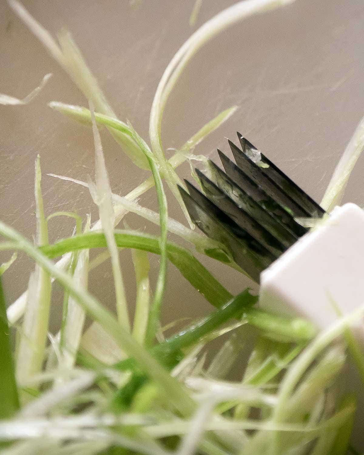 This $5 Kitchen Tool Makes Instant Gorgeous Garnishes This $5 Kitchen Tool Makes Instant Gorgeous Garnishes