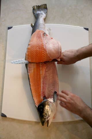 httpswww.saveur.comsitessaveur.comfilesimport2008images2008-05634-112_how_to_filet_a_salmon_2_480.jpg