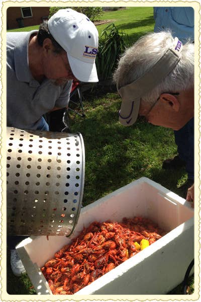 Postcard: Crawfish Harvest in Erath, Louisiana