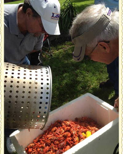 Postcard: Crawfish Harvest in Erath, Louisiana