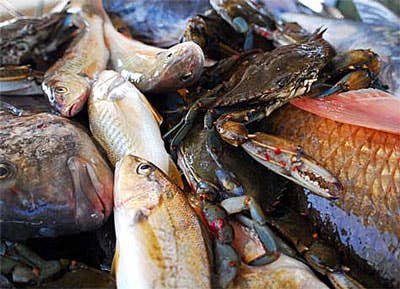 Food in the News: New Orleans Reacts to the BP Oil Spill