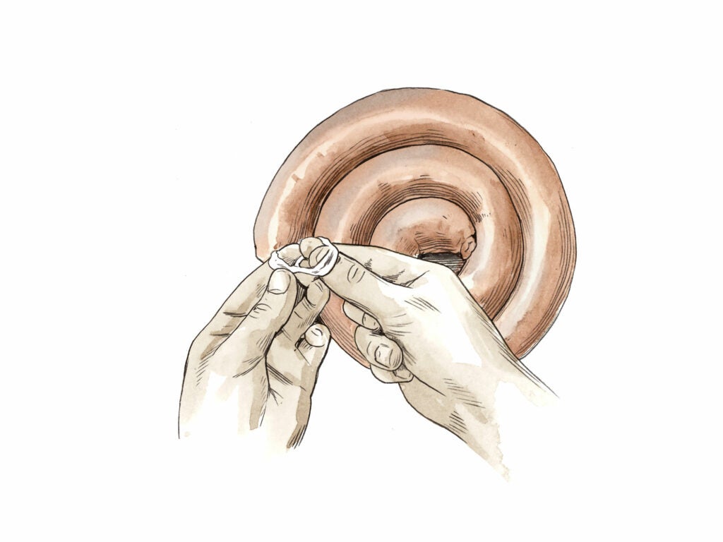 How To Make Sausage