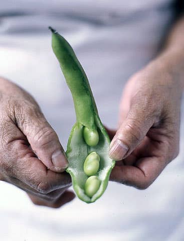 httpswww.saveur.comsitessaveur.comfilesimport2009images2009-03634-84_getting_to_good_part_2_480.jpg