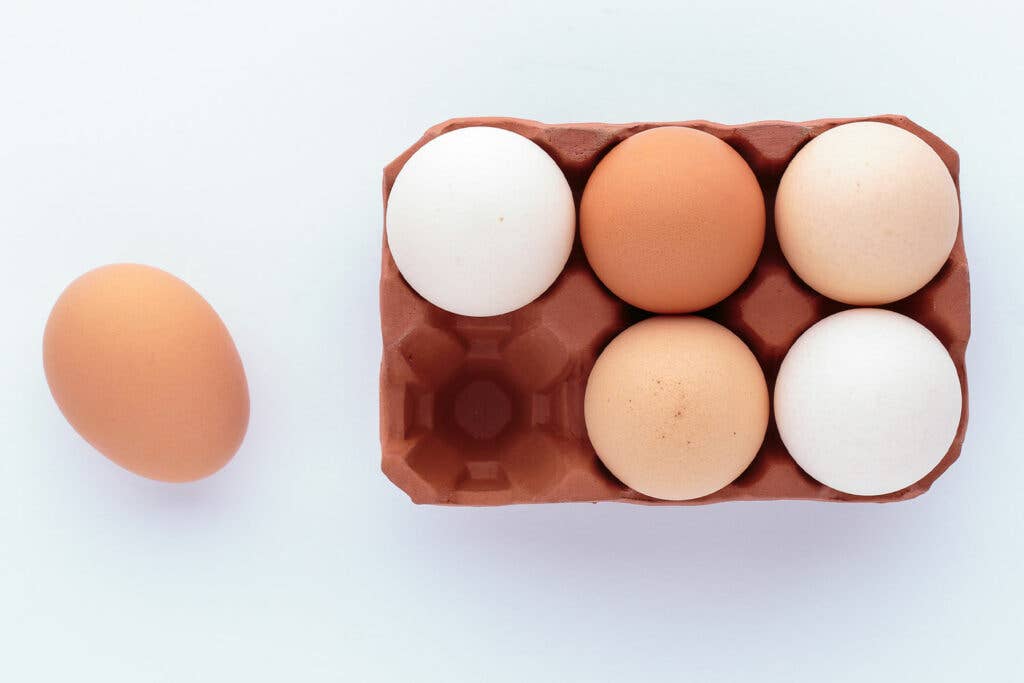 English Terra Cotta Egg Rack