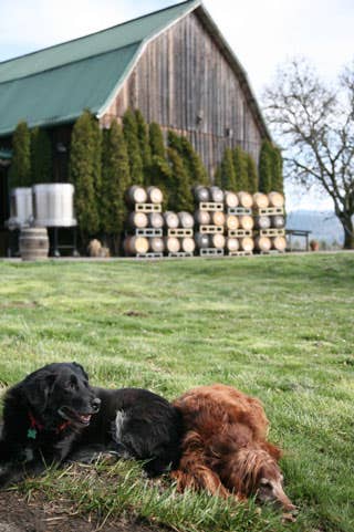 httpswww.saveur.comsitessaveur.comfilesimport2008images2008-04634-oregon_2.jpg