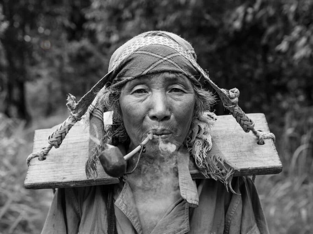 chinese tea leaf harvester