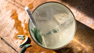 Friday Cocktails: Saggio