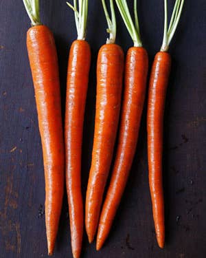 One Ingredient, Many Ways: Carrots