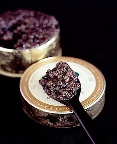 httpswww.saveur.comsitessaveur.comfilesimport2009images2009-02634-24_caviar-beluga_480.jpg