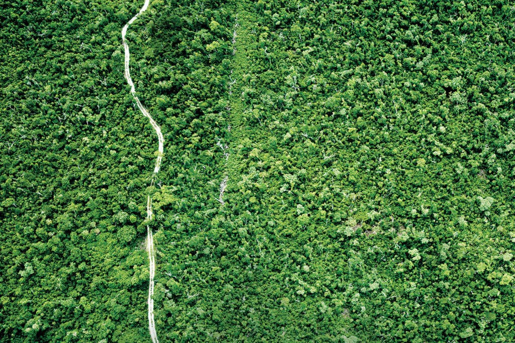 An ariel view of the jungle landscape of the Yucatan Peninsula.