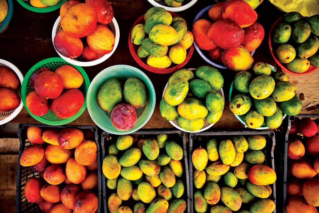 Mangoes for sale at a roadside stand
