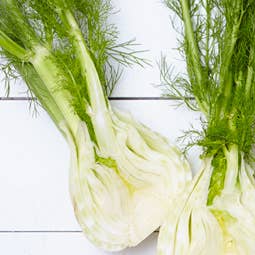 Spring Produce Guide: Fennel