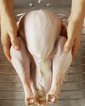 Trussing a Turkey or Chicken