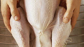 Trussing a Turkey or Chicken